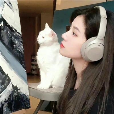 灵魂势力 在线观看